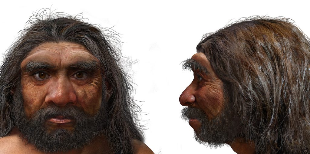 01_Homo-longi-1024x509 Bir sanatçının Homo longi türünün olası yüz hatlarını canlandırdığı illüstrasyon.