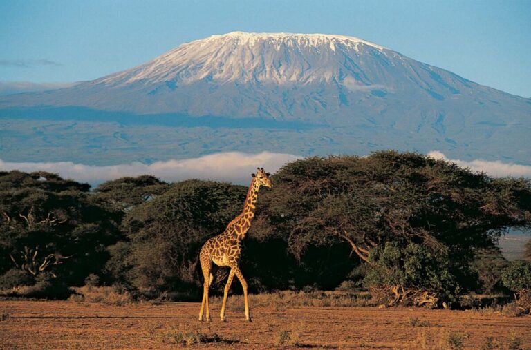 Kilimanjaro Dağına Yüksek Hızlı İnternet Döşeniyor