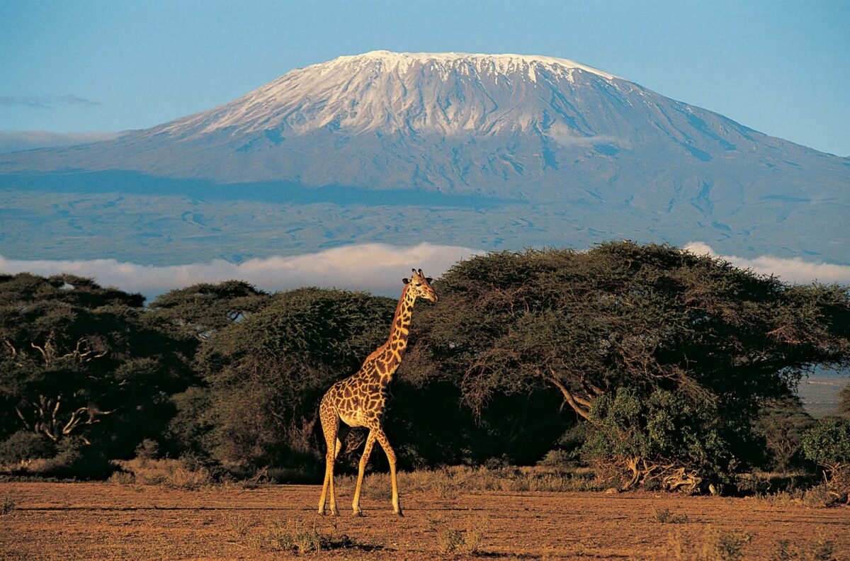 moiunt-kilimanjaro-1200x792