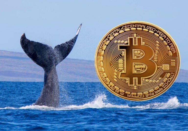 Bitcoin Balinaları Yeni Yıla Hızlı Girdi!