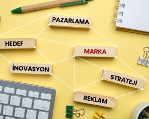 Dijital Dünyada Marka Yönetimi-Canlı Online