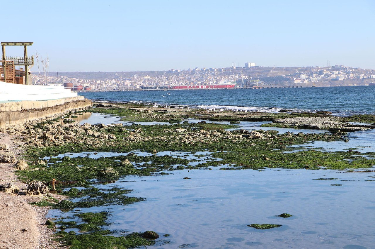 Marmara Denizi