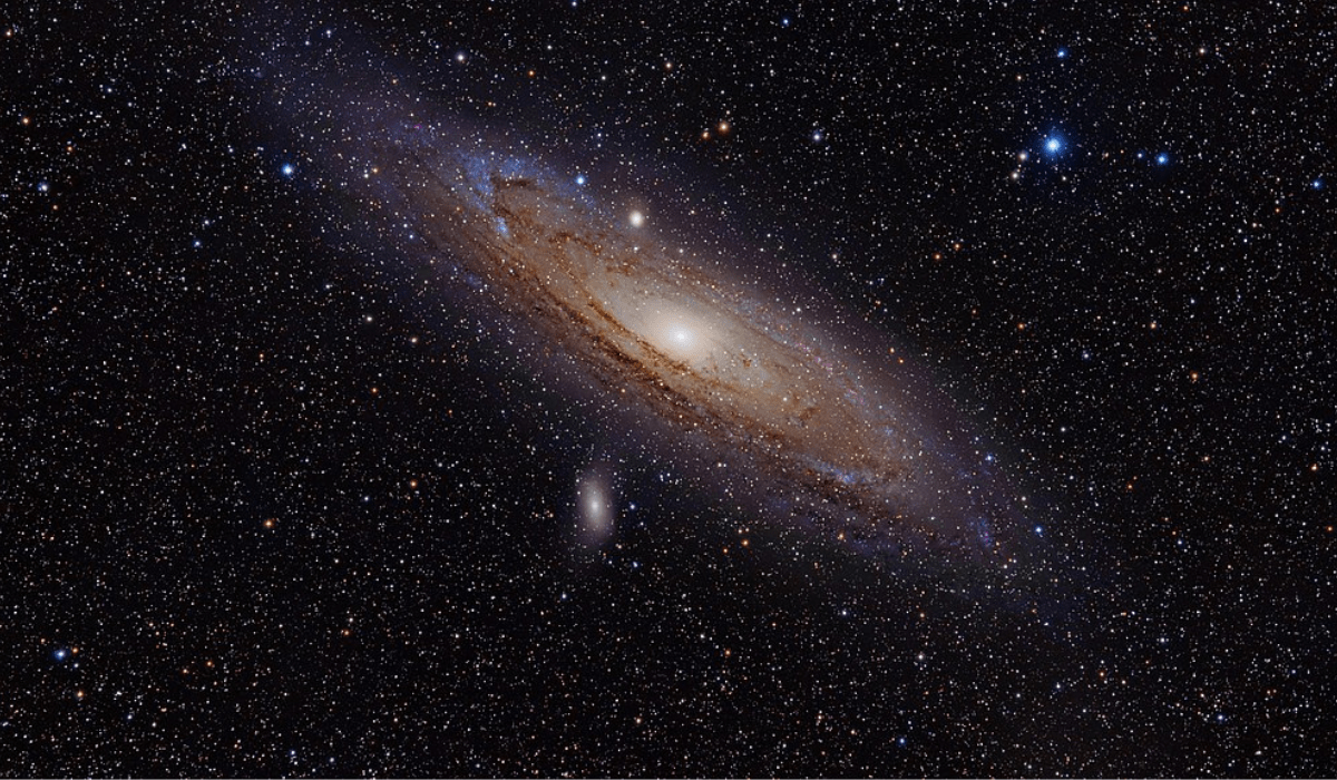 kapak-min-1