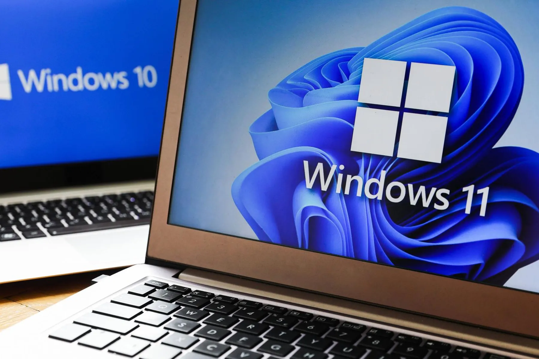 windows 11 vs windows 10