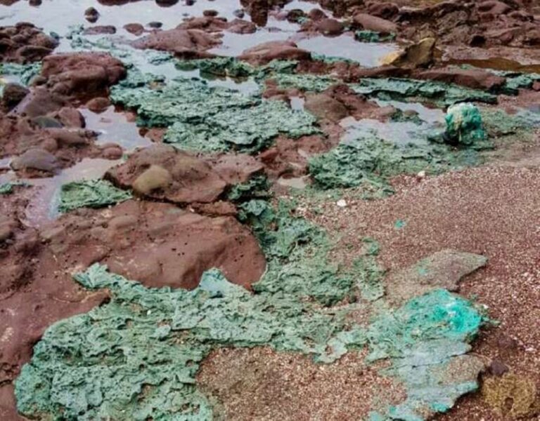 Dünyanın Öbür Ucundaki Trindade Adalarında, Plastik Atıklardan Oluşan Kayalar Bulundu