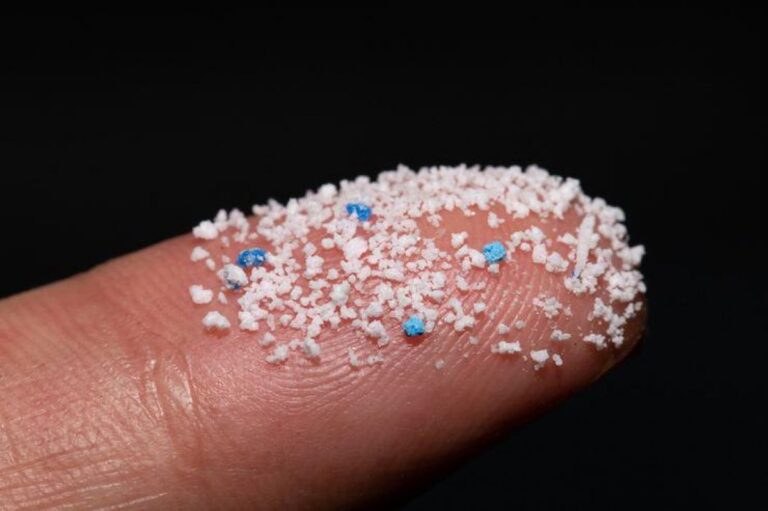 Hamile Kadınlara Uyarı: Fetüsün Organlarına Mikroplastikler Geçebilir!