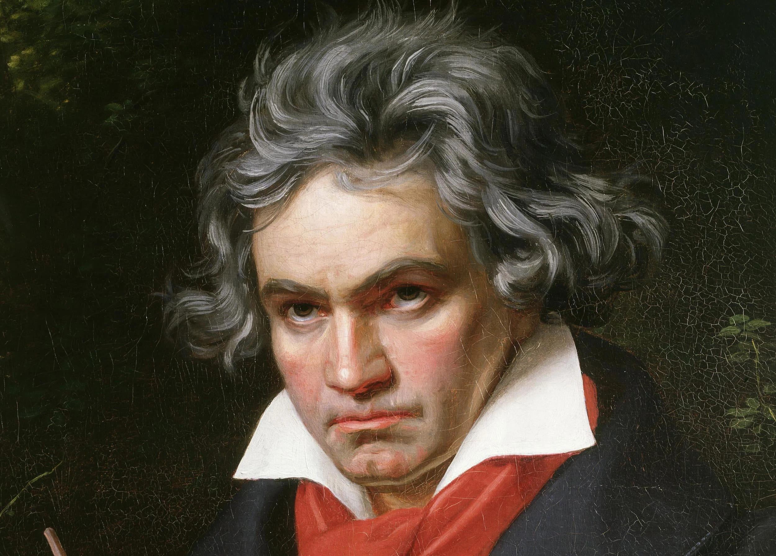 beethoven portre