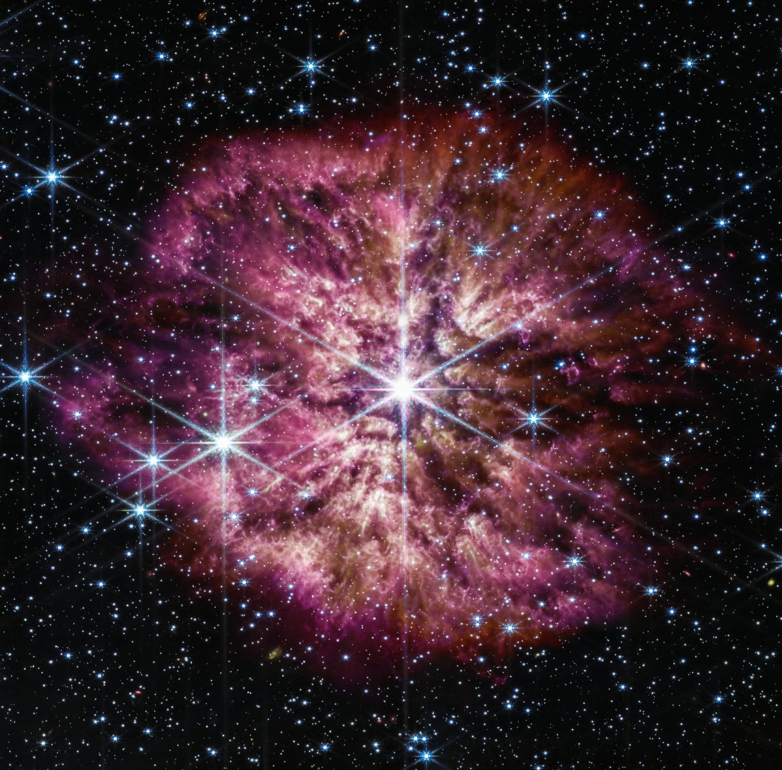 cover_star