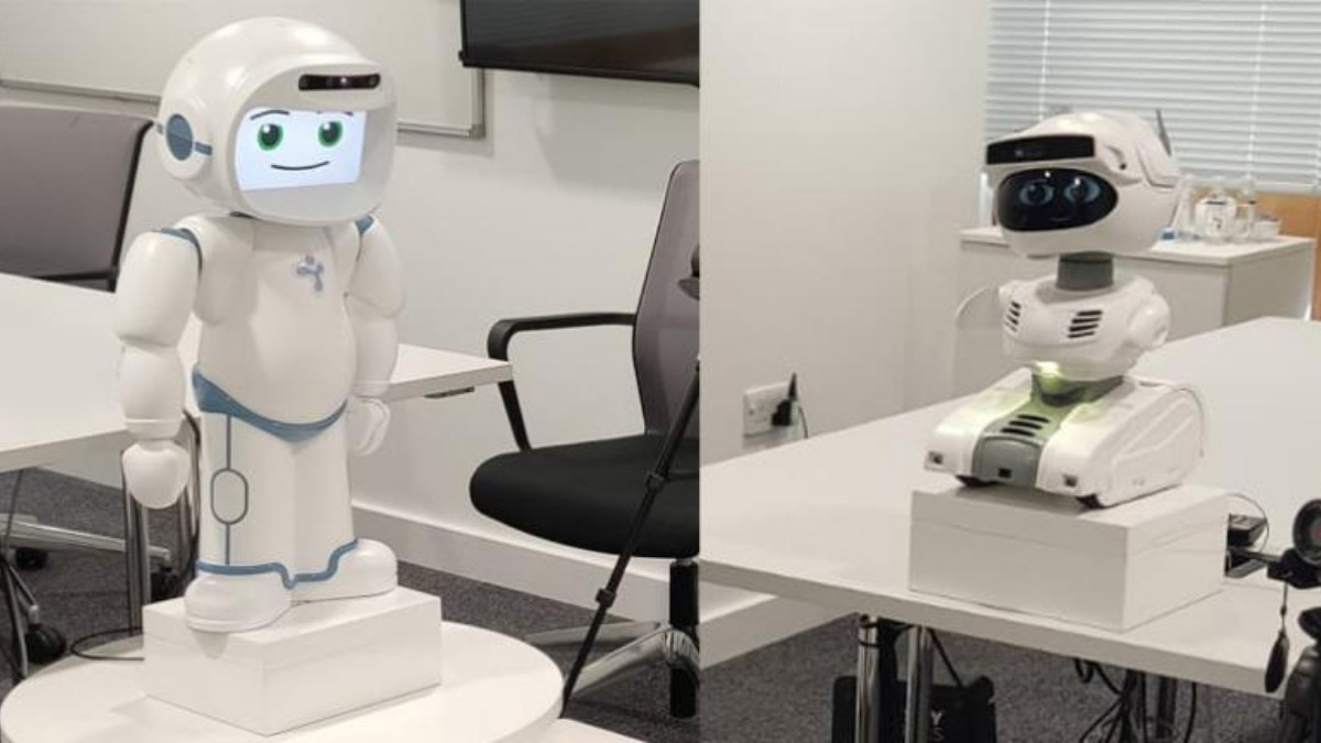 robotdanışman