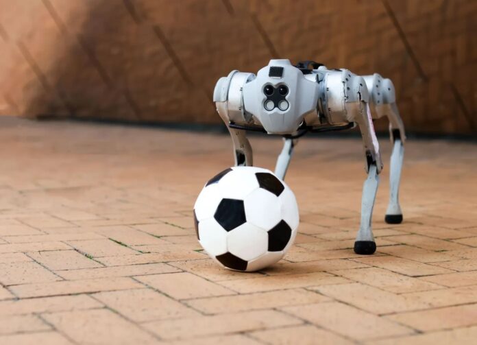 Kapak-Dribblebot