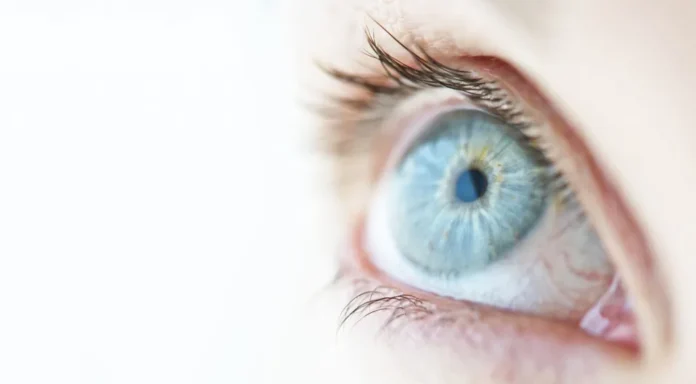 Retina KAPAK