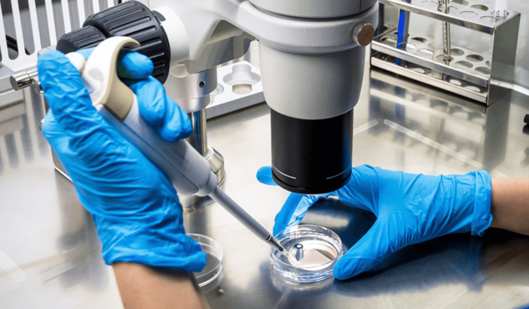 Mikrobiyal Deneylere Yapay Zekâ Katkısı: BacterAl 