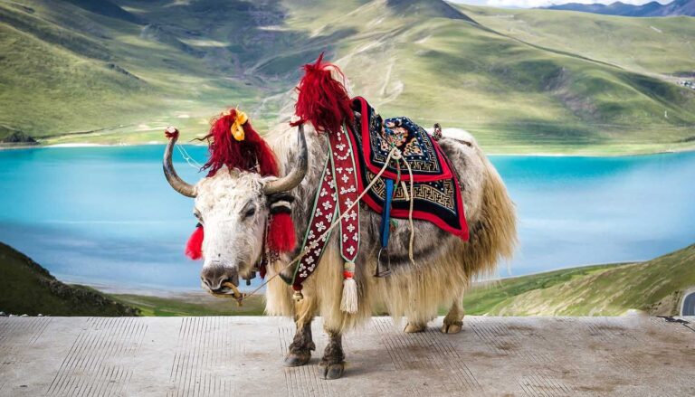Tibet İmparatorluğu’nun Yükselişi ve Düşüşü İklim Değişikliğinden Etkilendi