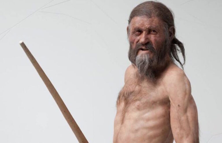 Buz Adam Ötzi’nin Kökleri Anadolulu Çiftçilere Dayanıyor