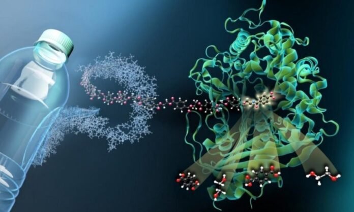 plastic-eating-bacteria-cover-Cropped-1200x720