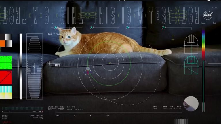 NASA, Uzaydan Dünya’ya Kedi Videosu Gönderdi