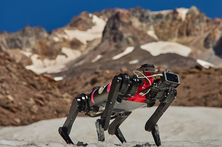 NASA Ay’a Göndereceği Robot Köpekleri Eğitiyor