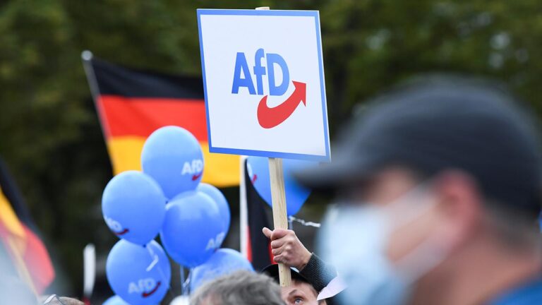 Instagram ve Facebook Almanların Irkçı Partisi AfD Reklamlarına İzin Veriyor!