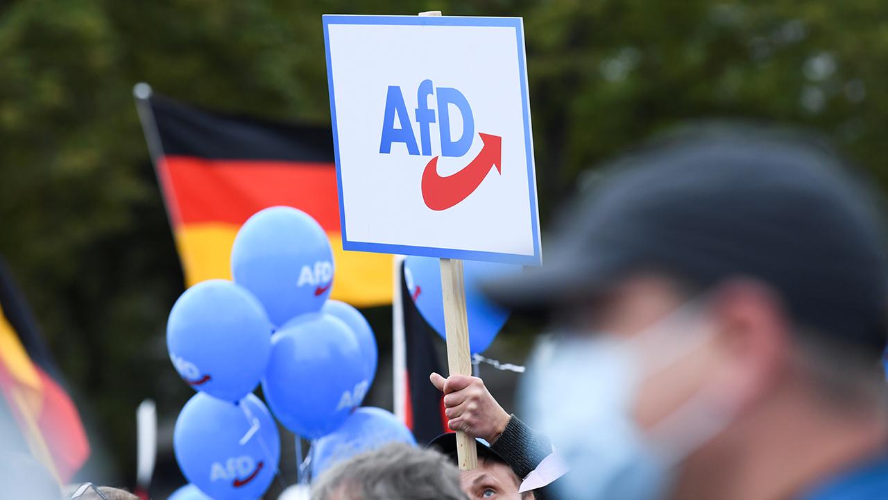 afd-almanya-1923383