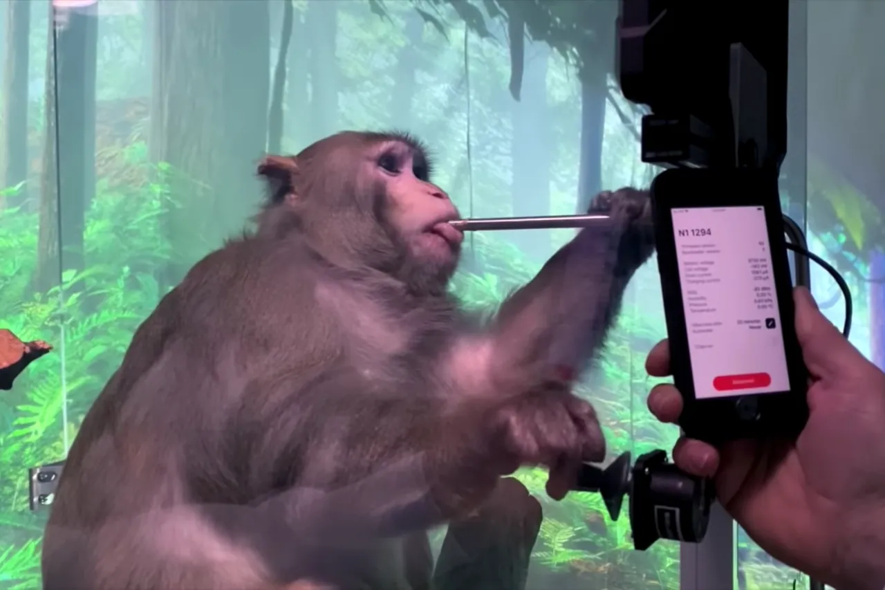 neuralink-monkey02