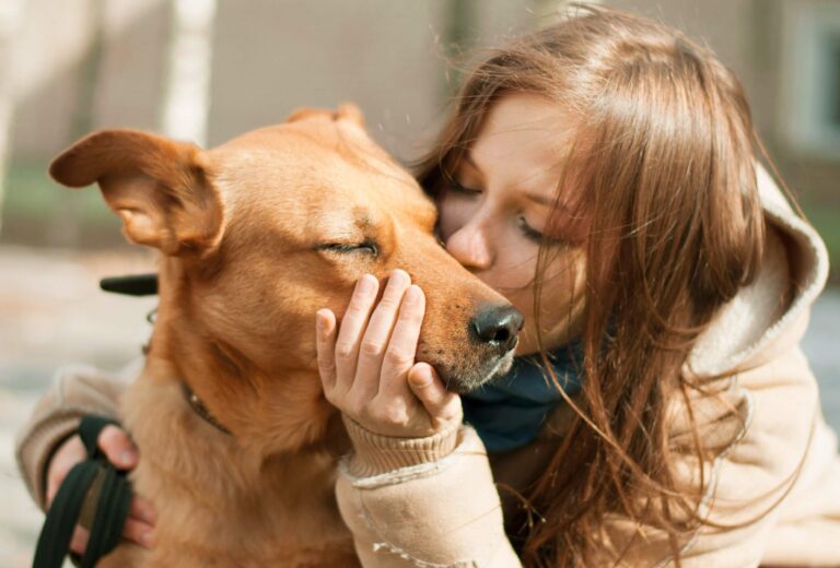 Köpekler Geçmişi Hatırlar mı?Hayvan Hakları Yasası Kapsamında Yeni Bir Bakış