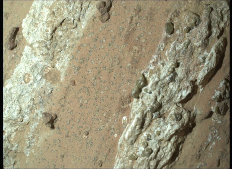 Mars’ta Fosilleşmiş Yaşamın İlk Güçlü İzleri Keşfedildi