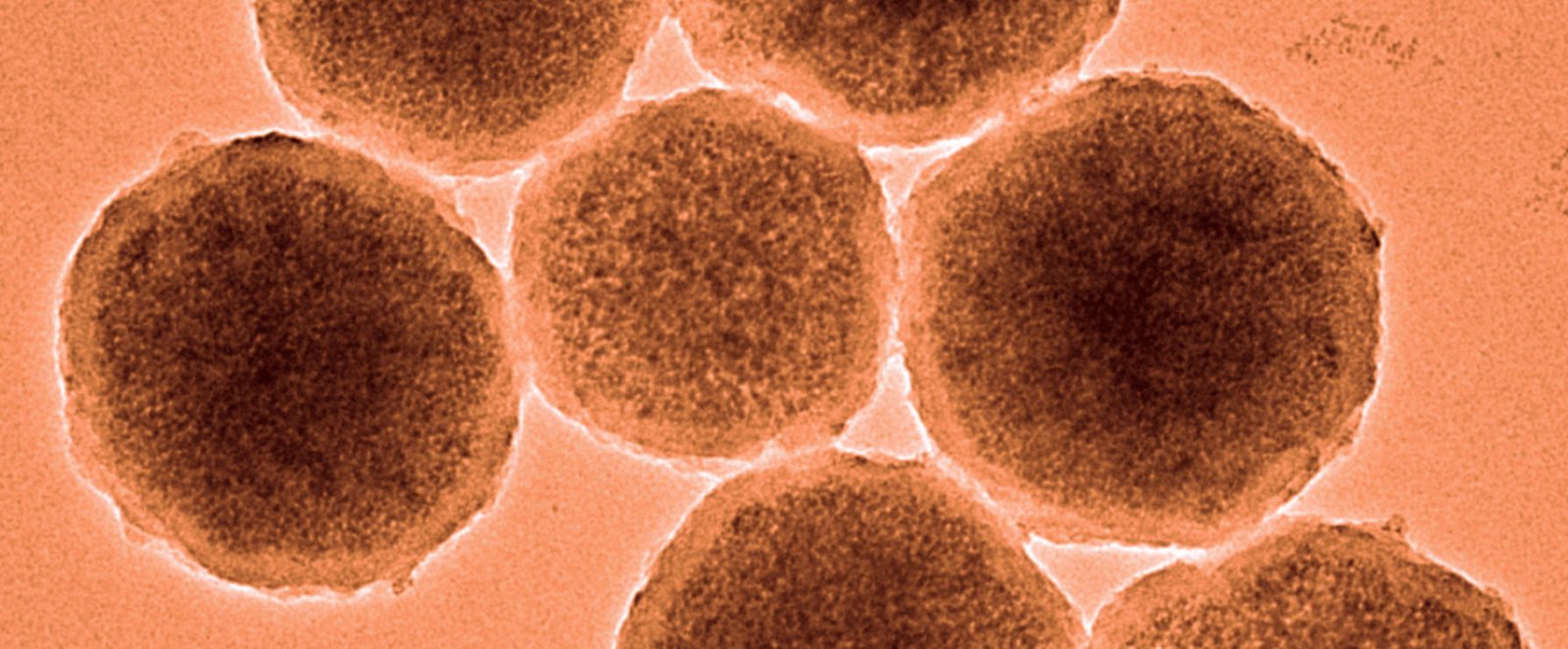 Nanobot kapak