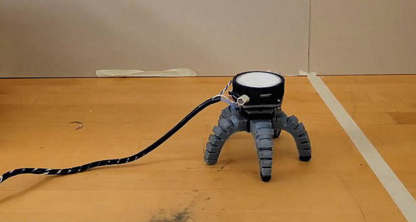mantar robot kapak
