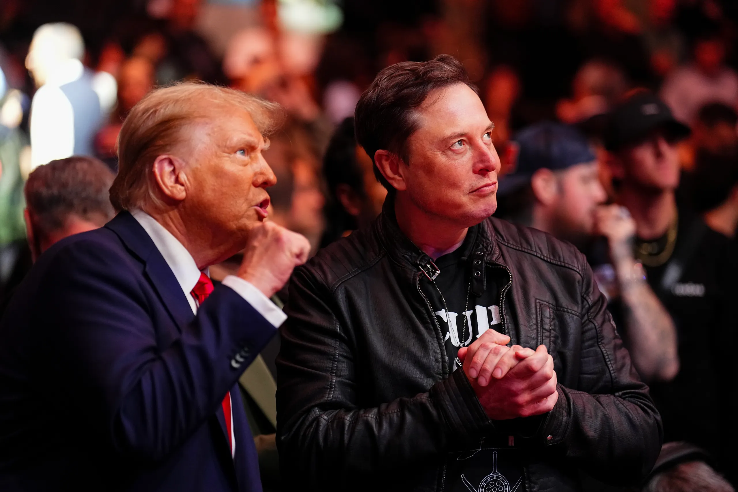 musk-trump