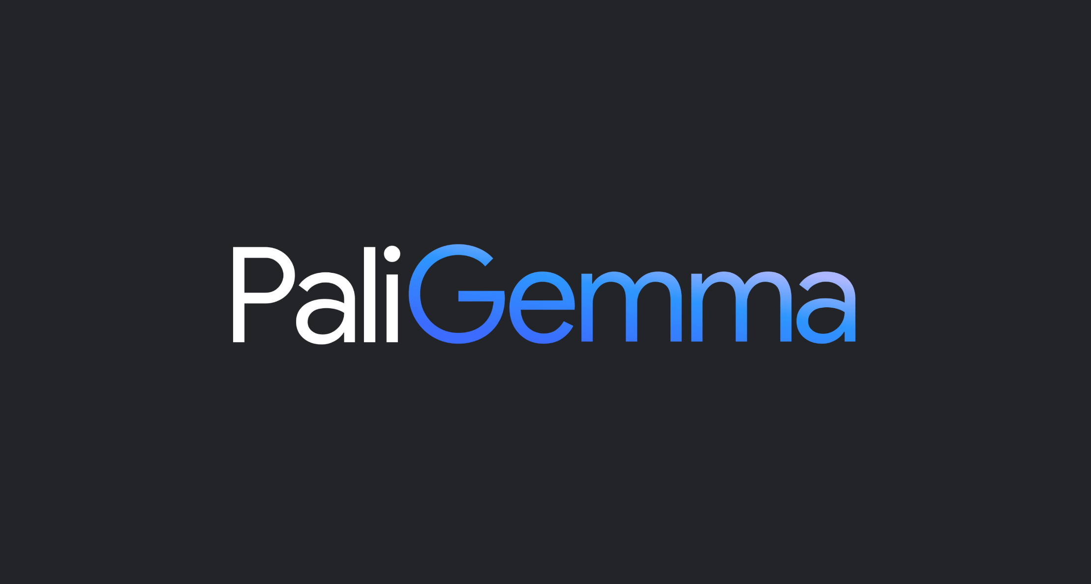 paligemma01