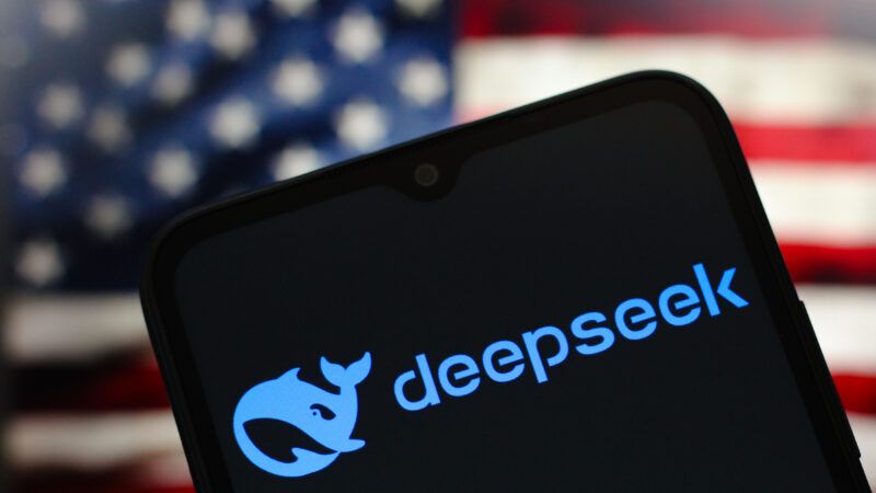 deepseek kapak