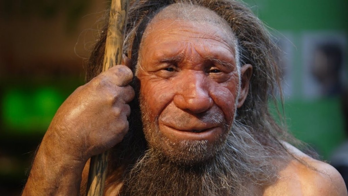 Neandertal
