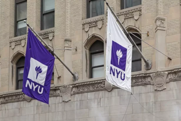 New York Üniversitesi