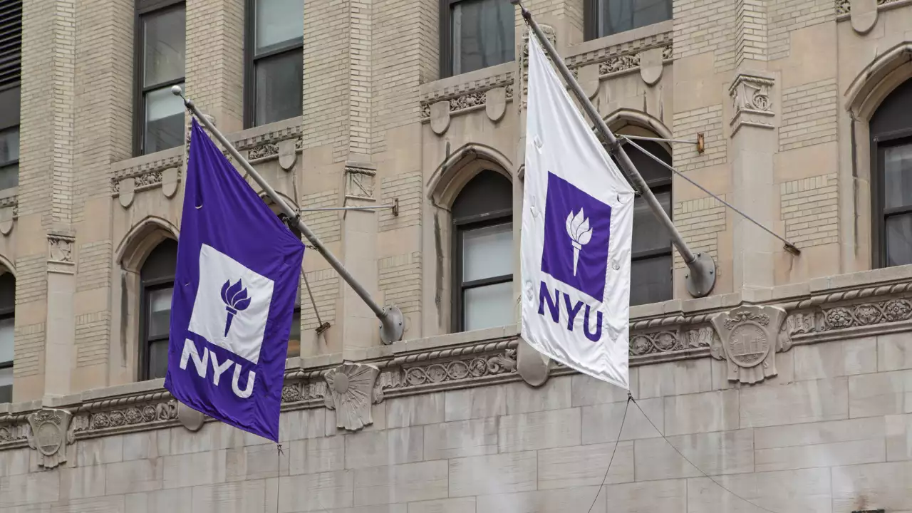 New York Üniversitesi