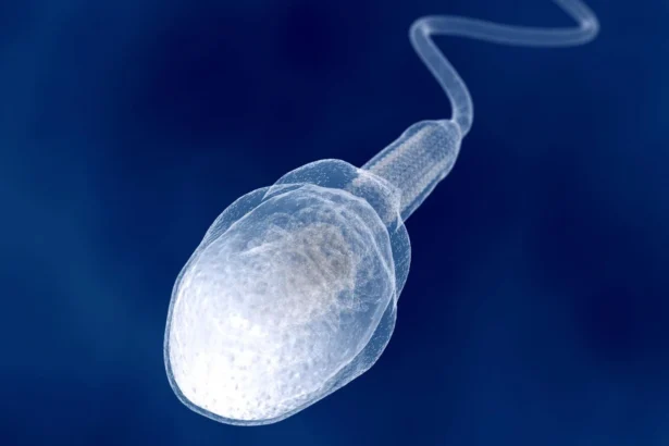 Spermler
