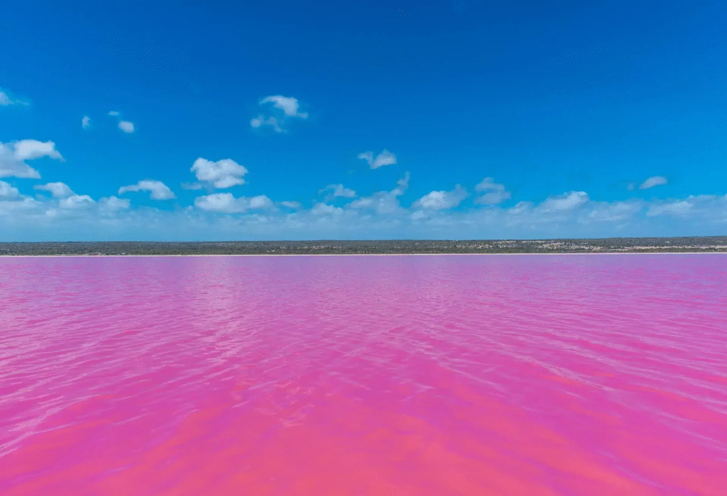 pembe