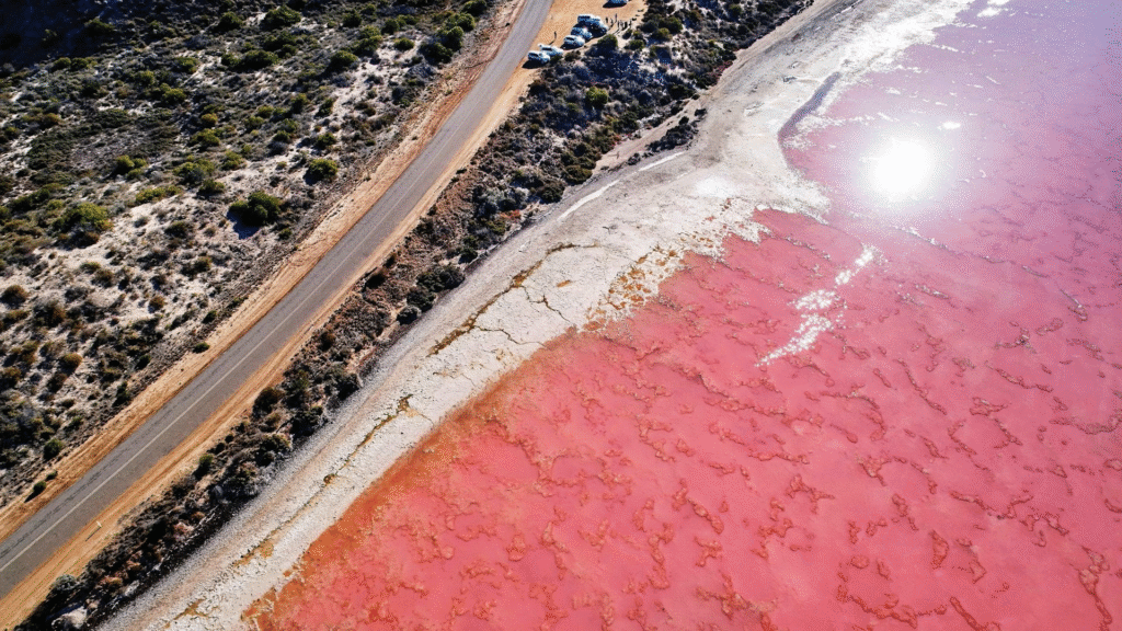 pembe