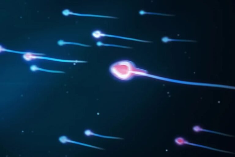 Uzayda Bebek Yapmak Düşünülenden Çok Daha Zor: Sperm Yerçekimsiz Ortamda Yönünü Kaybediyor