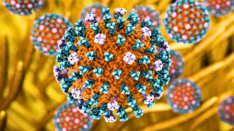 H9N2 Kuş Gribi Avrupa’ya Ulaştı: İtalya’da İlk İnsan Vakası Onaylandı