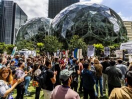 amazon