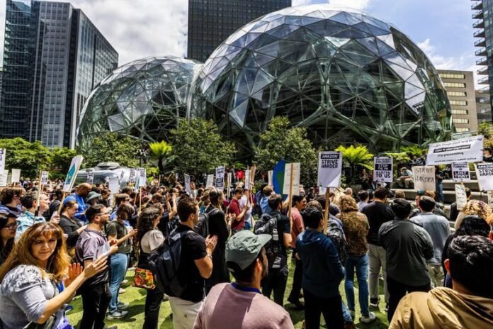 amazon