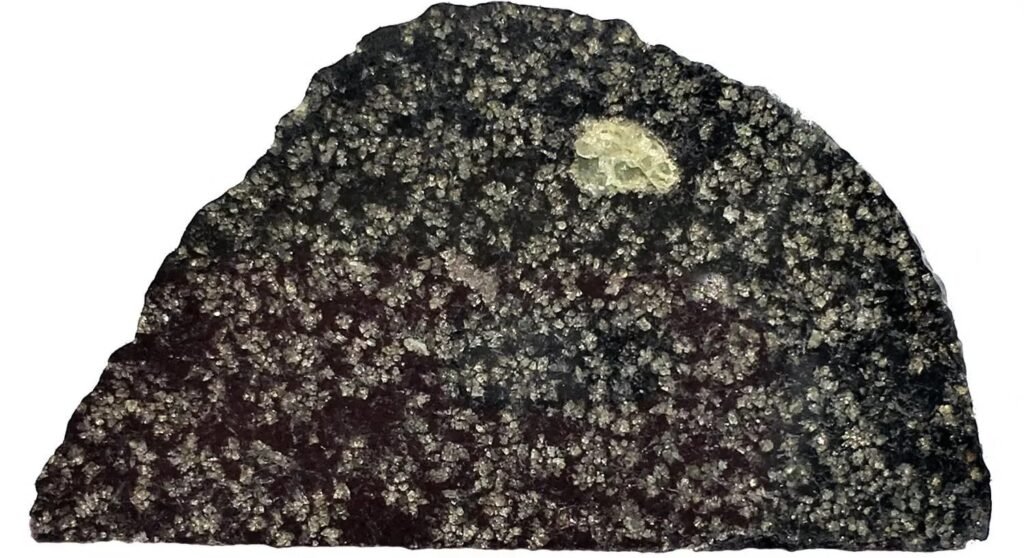 Angrit göktaşı NWA 12774 örneği, NWA 12774'ün bir kesiti. Yeşil daire içinde görülen yapı, magnezyum açısından zengin bir mineral olan olivin kristalidir. Görsel: John Kashuba / CU Boulder.