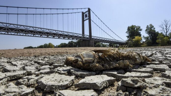 Climate change exacerbating drought across Europe, scientists say Climate change exacerbating drought across Europe, scientists say