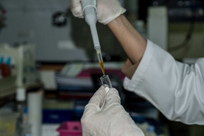 Çin'de in vivo CAR-T kanser tedavisi araştırması