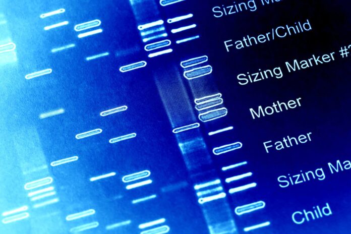 Alzheimer araştırmalarında kullanılan mikroprotein ve genetik görselleştirme (Görsel: Getty Images)