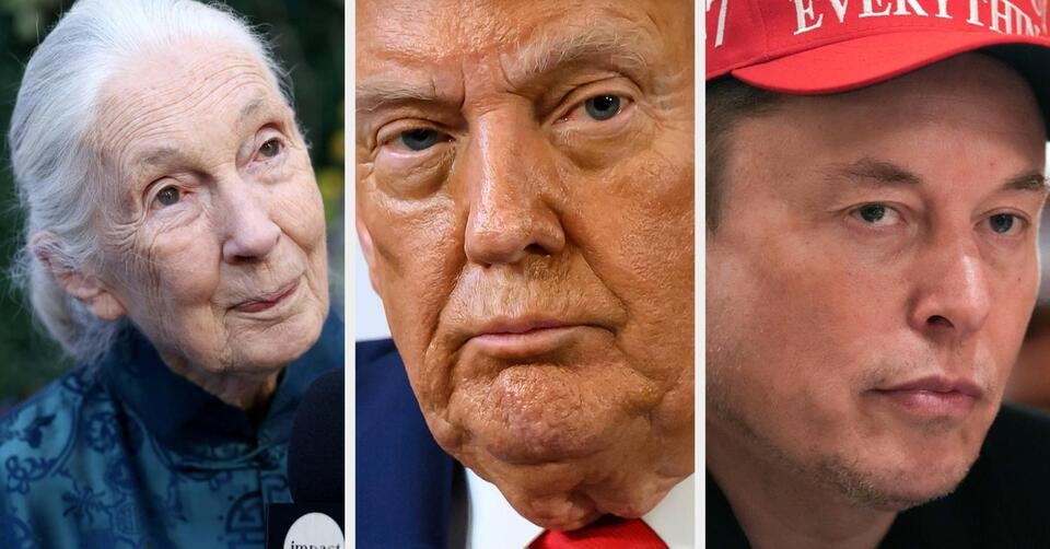 janeden_musk-ve-trumpa_gonderme