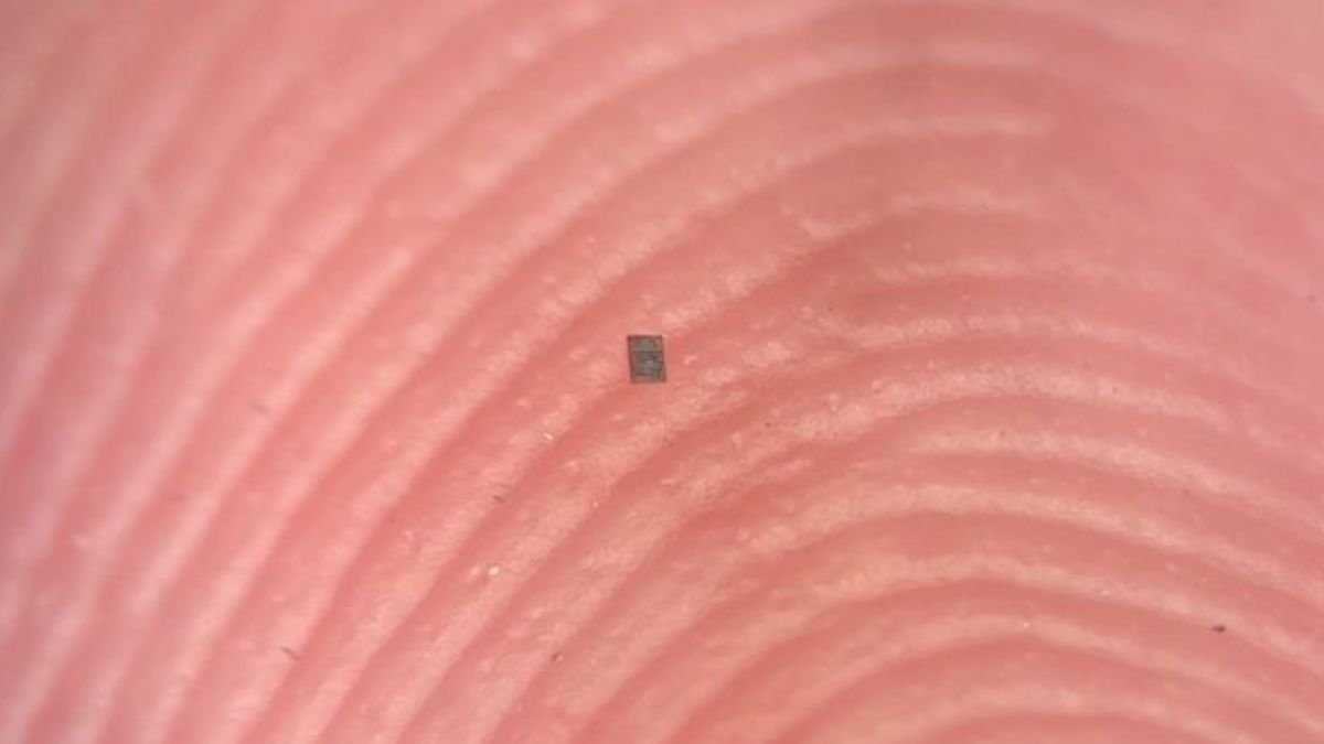 Microrobot