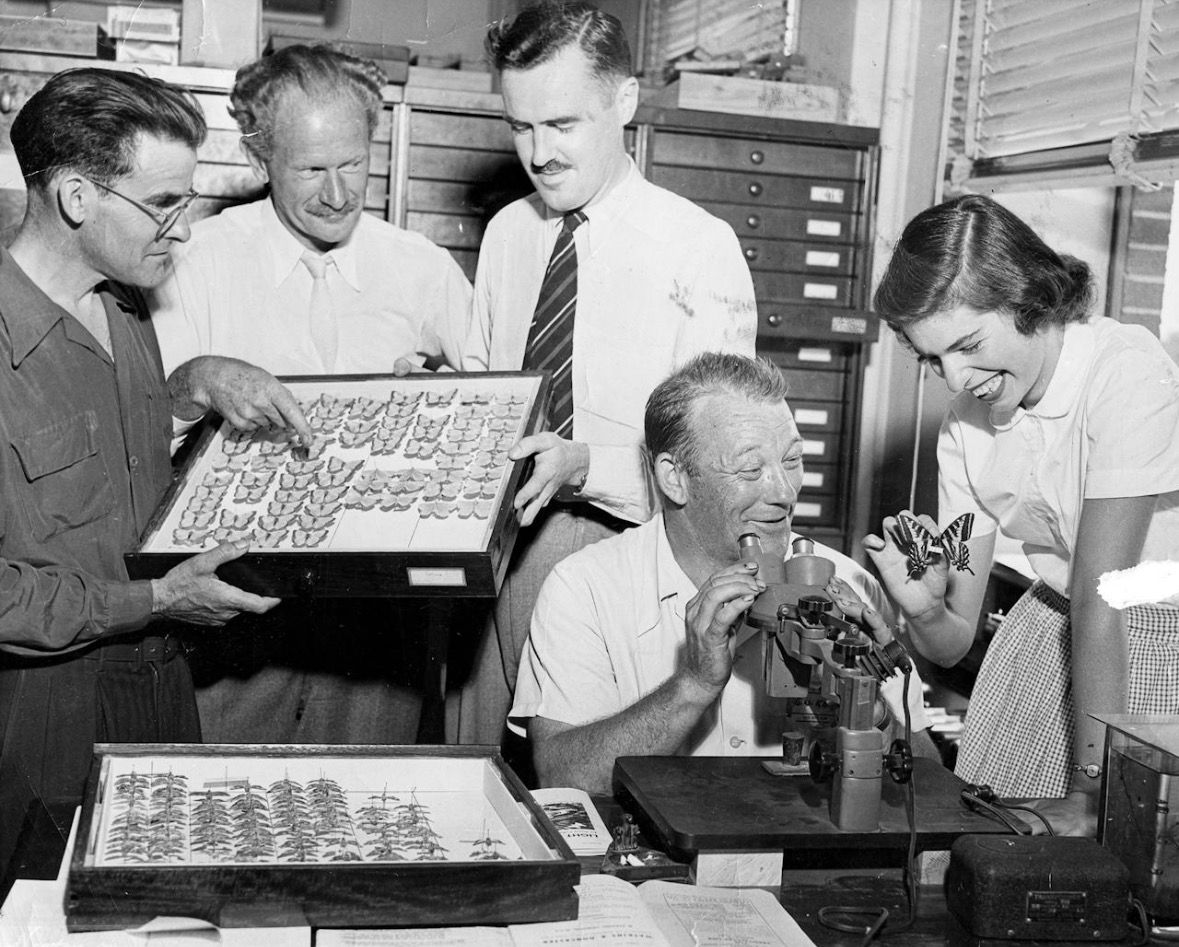 Colin Wyatt, 1952’de Ottawa’da düzenlenen Lepidopteristler Derneği toplantısında yeniden ortaya çıktığı sırada.