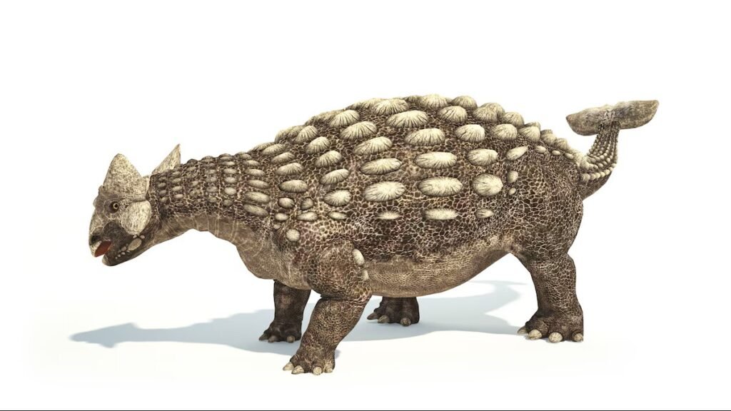 dinozor