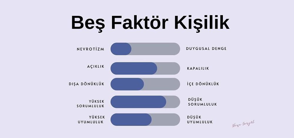 Beş Büyük kişilik modeli, kişilik ile uzun yaşam arasındaki ilişkiyi anlamada önemli bir araç olarak öne çıkıyor.